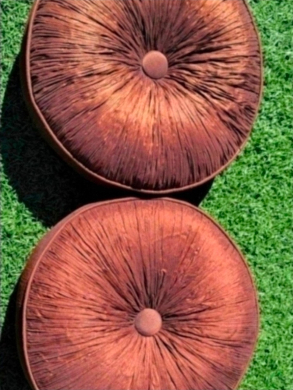 Pillows Round Brown Pillows Set